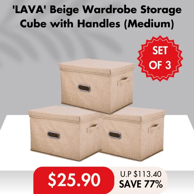 [SET OF 3] 'LAVA' Wardrobe Storage Cube with Handles Collection